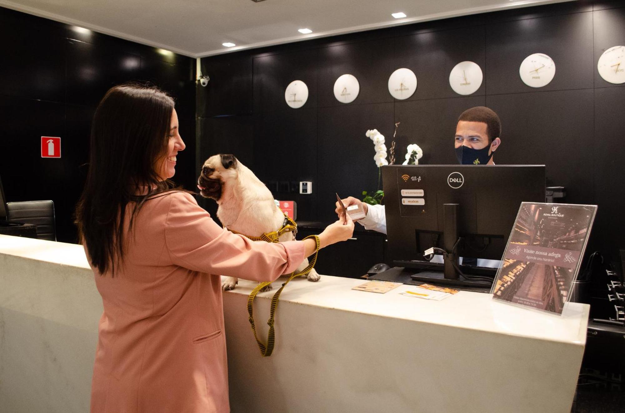 Royal Boutique Savassi Hotel Belo Horizonte Exterior photo A woman checking in at a hotel with her dog